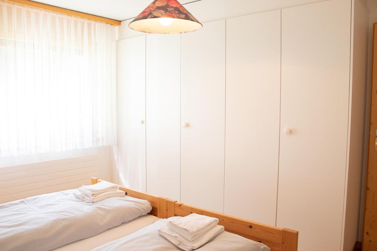Dryas 02 Arosa