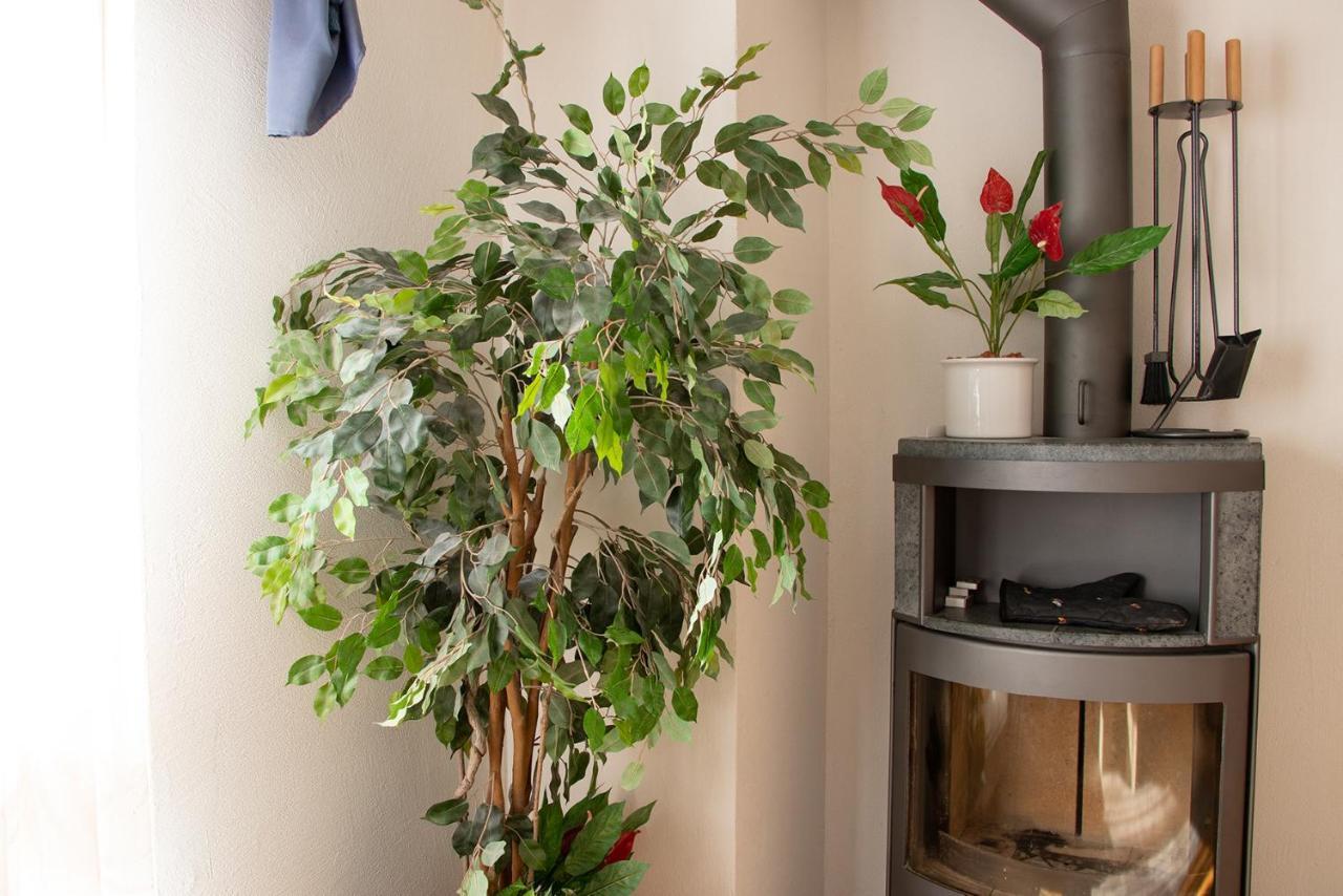 Apartment Dryas 02